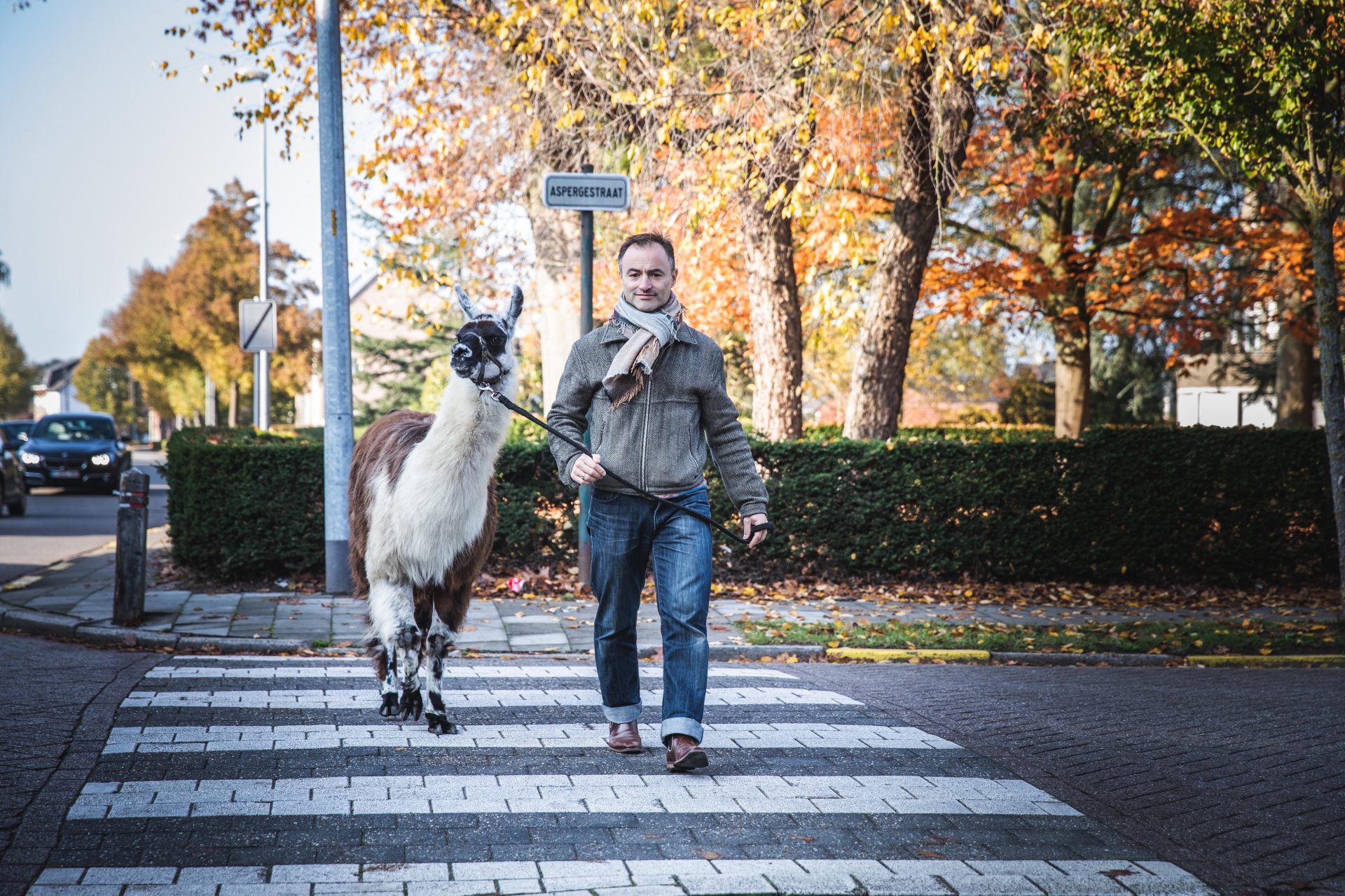 LaMA Academie voor gemeenten