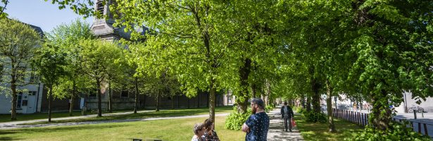 Tongeren en Rijmenam hebben beste openbare ruimten van Vlaanderen